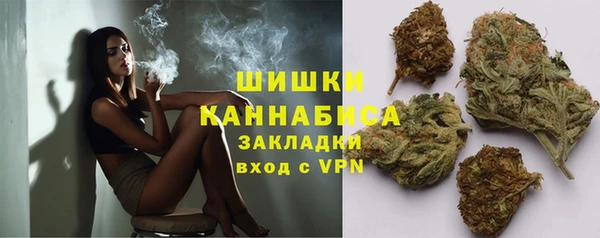 PSILOCYBIN Бородино